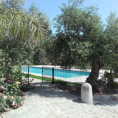 La Bastide De L'Oliveraie Le Castellet  Luaran gambar
