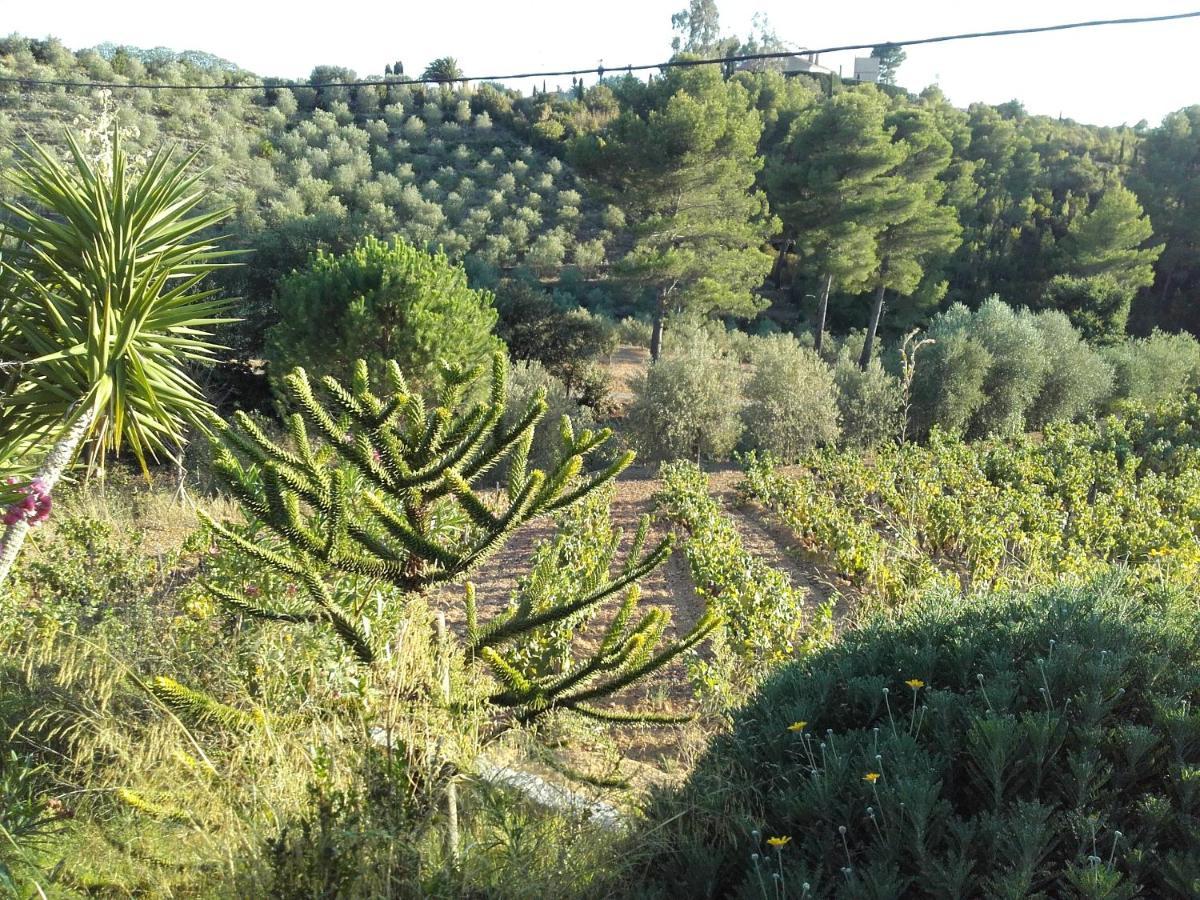 La Bastide De L'Oliveraie Le Castellet  Luaran gambar