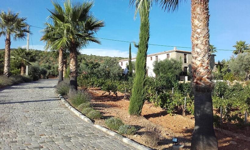 La Bastide De L'Oliveraie Le Castellet  Luaran gambar